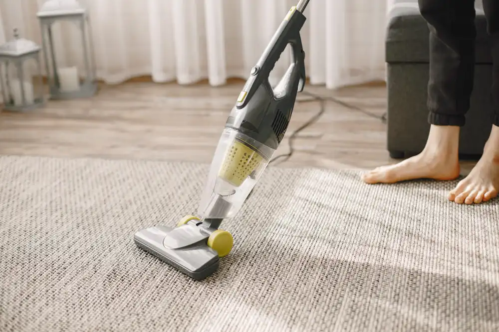 Same Day Carpet Cleaning